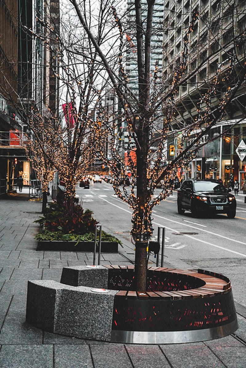 Bloor Street BIA Fireside Benches preview 8